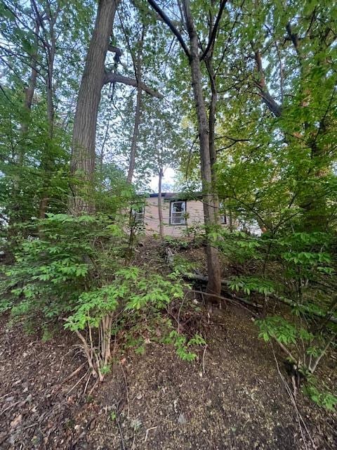 50 Lieper St, Huntington Station, NY 11746 - view of yard