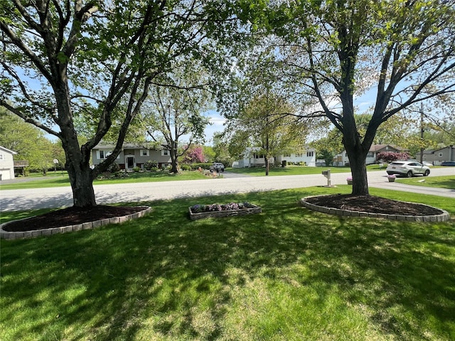 view of yard with a residential view