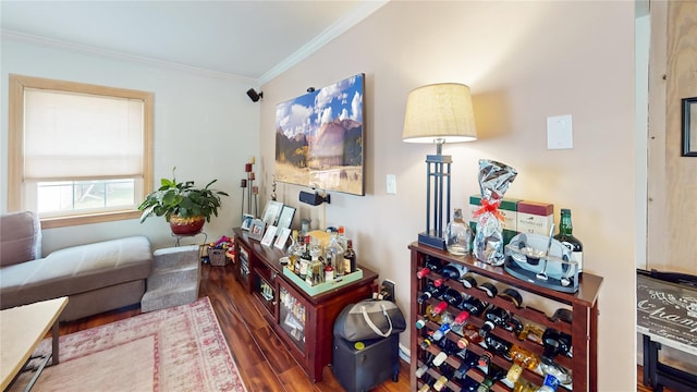 living room with ornamental molding and wood finished floors
