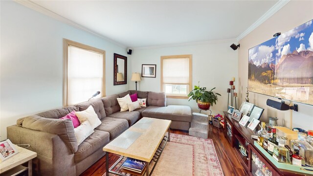 living room with ornamental molding and wood finished floors