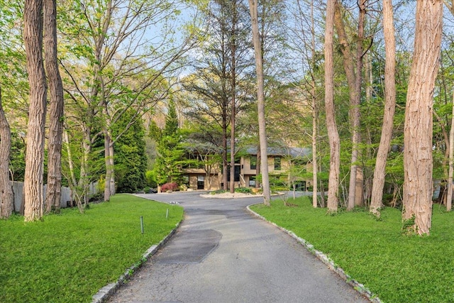 668 Park Ave, Huntington, NY 11743 - photo 40