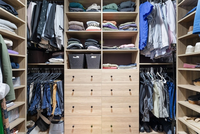view of walk in closet