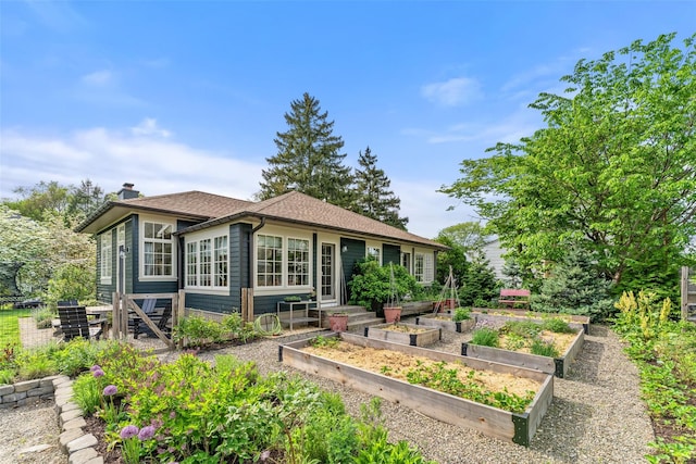 rear view of property featuring a vegetable garden, a chimney, and a shingled roof