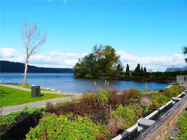 water view