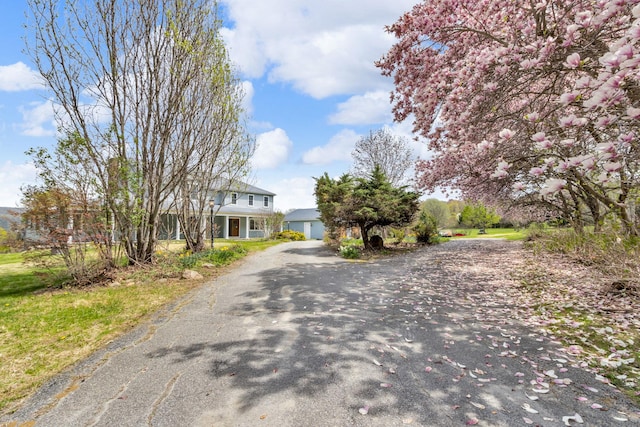 view of road featuring driveway