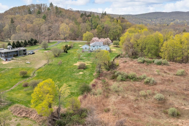 birds eye view of property with a view of trees, a mountain view, and a rural view