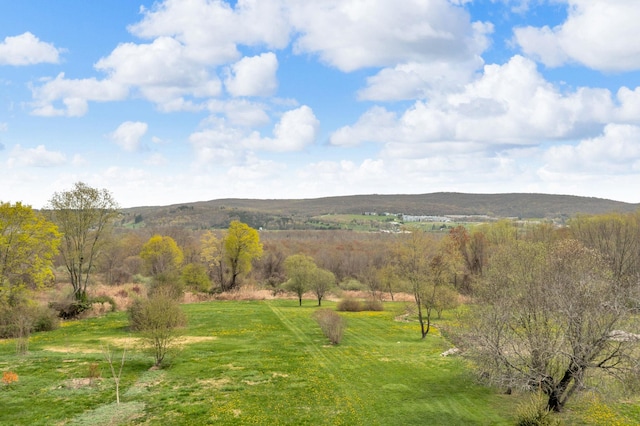 view of mountain feature with a rural view