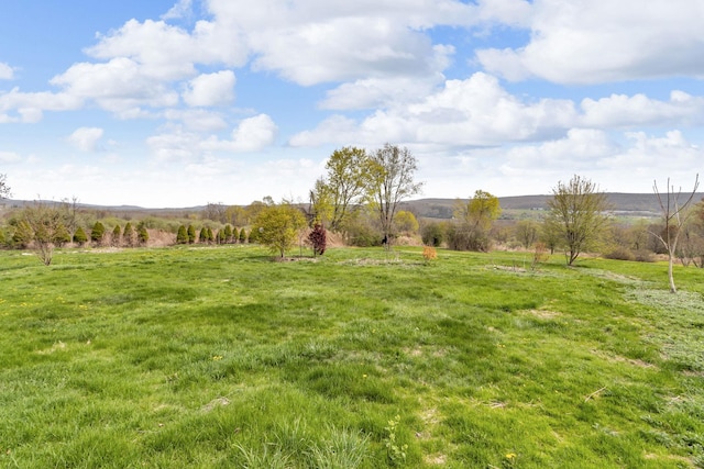 view of yard with a rural view