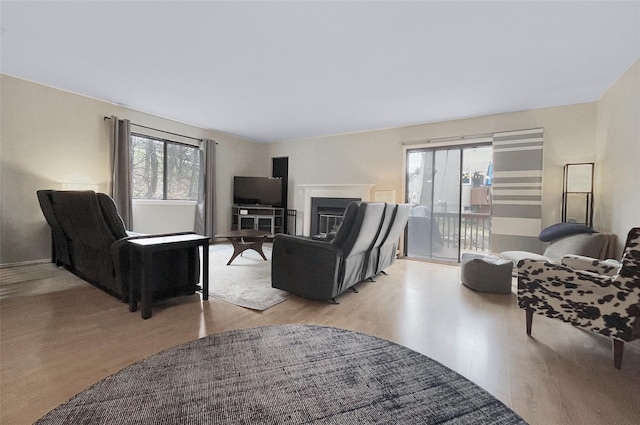 17 Cherry Ct, Highland Mills, NY 10930 - living room featuring a glass covered fireplace and light wood finished floors