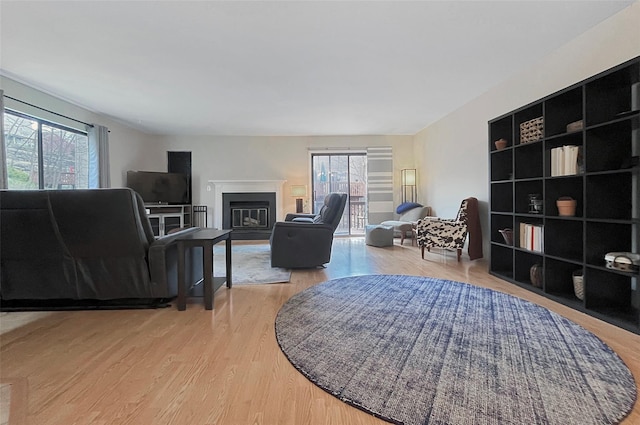 17 Cherry Ct, Highland Mills, NY 10930 - living room featuring light wood-style floors and a glass covered fireplace