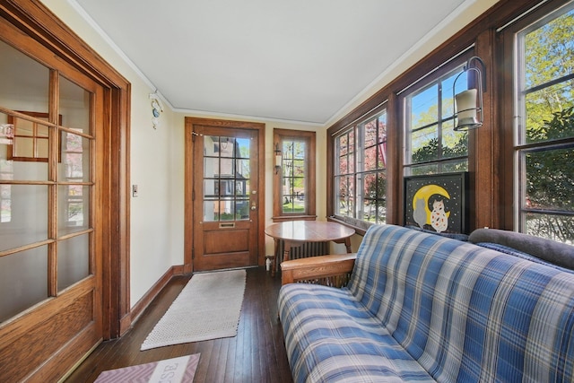interior space featuring dark wood-type flooring, plenty of natural light, crown molding, and baseboards