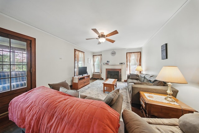 living room featuring ceiling fan, plenty of natural light, wood finished floors, and radiator