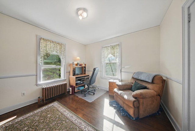 office featuring radiator, baseboards, and wood finished floors