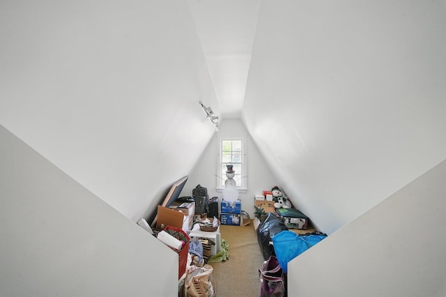 interior space featuring vaulted ceiling
