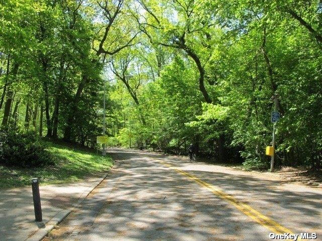 83-44 Lefferts Blvd Unit 6M, Kew Gardens, NY 11415 - view of street with curbs and a forest view