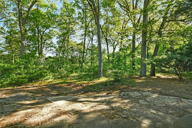 54 Schuyler Dr, Commack, NY 11725 - view of local wilderness