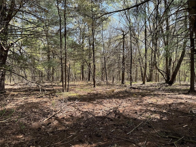 view of local wilderness with a wooded view