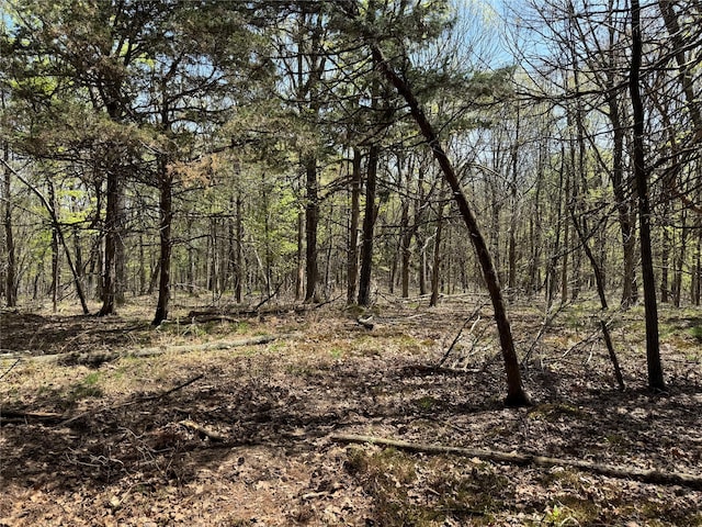 view of local wilderness with a forest view