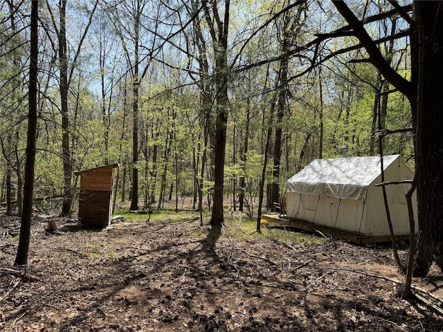 view of yard with a forest view and an outdoor structure
