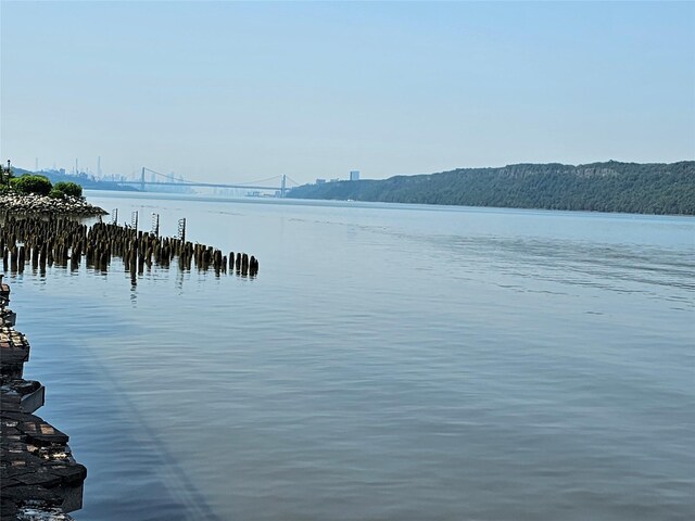 23 Water Grant St Unit 11C, Yonkers, NY 10701 - water view