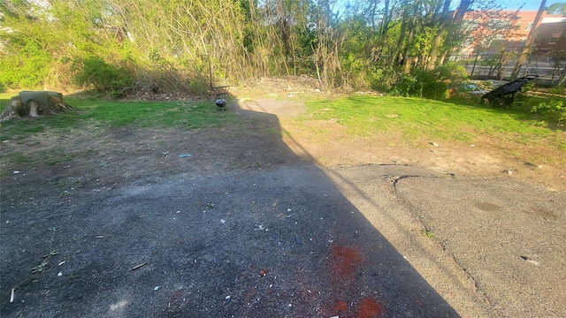 107 Garden St, Poughkeepsie, NY 12601 - view of yard
