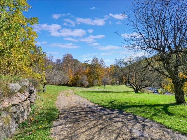 view of community with a lawn and a view of trees