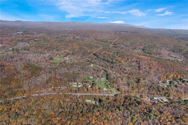 bird's eye view with a forest view and a mountain view