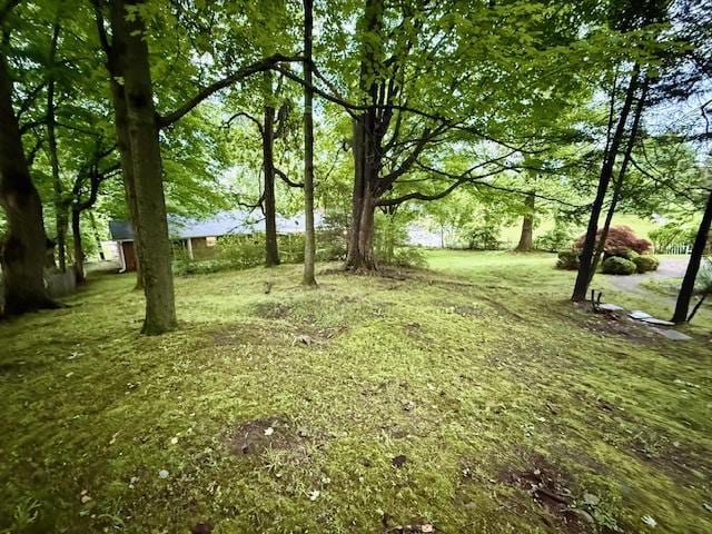 65 Balmville Rd, Newburgh, NY 12550 - photo 32