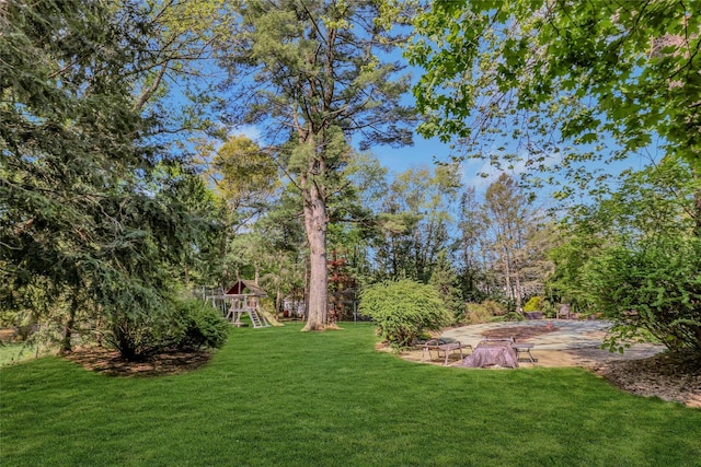 view of yard featuring a playground