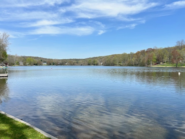 2641 Salt Point Tpke, Clinton Corners, NY 12514 - water view featuring a forest