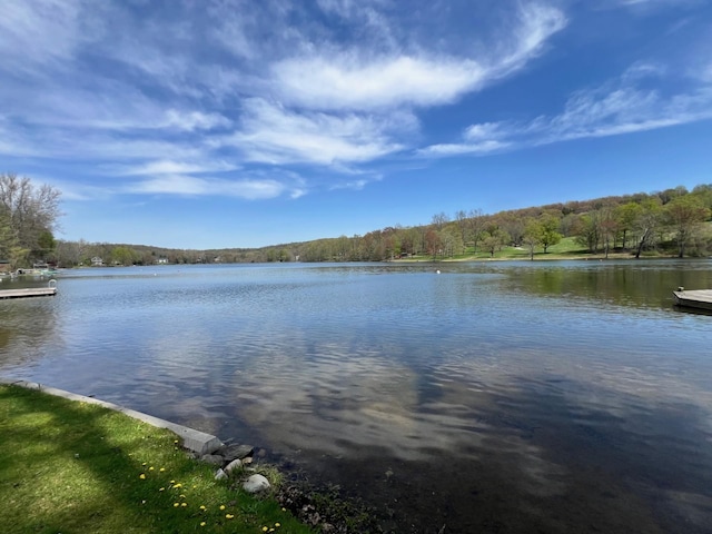 2641 Salt Point Tpke, Clinton Corners, NY 12514 - water view featuring a forest