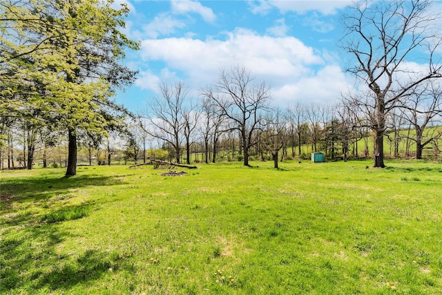2641 Salt Point Tpke, Clinton Corners, NY 12514 - view of grassy yard