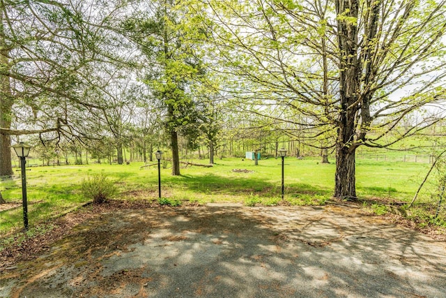 2641 Salt Point Tpke, Clinton Corners, NY 12514 - view of grassy yard with a patio area