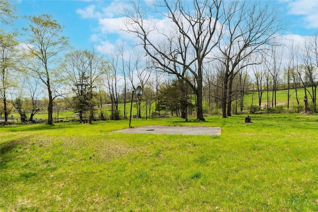 2641 Salt Point Tpke, Clinton Corners, NY 12514 - view of grassy yard