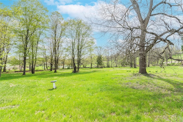 2641 Salt Point Tpke, Clinton Corners, NY 12514 - view of green lawn
