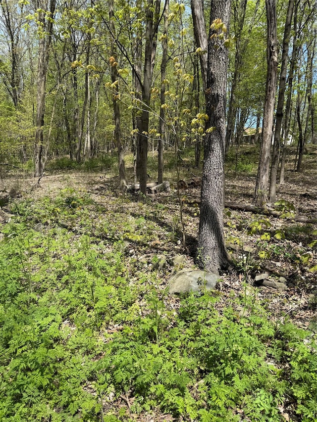 120 Floyd Ackert Rd, Esopus, NY 12493 - photo 1
