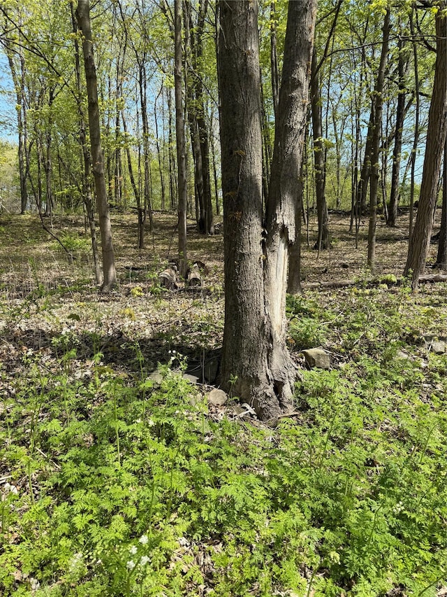 120 Floyd Ackert Rd, Esopus, NY 12493 - photo 2