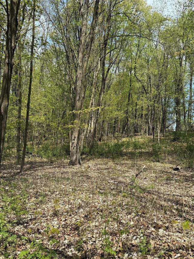 120 Floyd Ackert Rd, Esopus, NY 12493 - photo 3