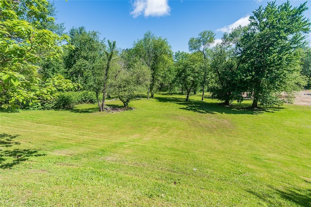 57 E Rock Cut Rd, Walden, NY 12586 - view of green lawn