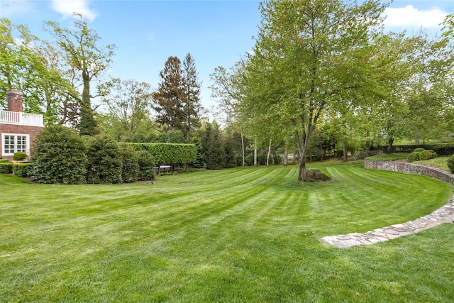 view of grassy yard