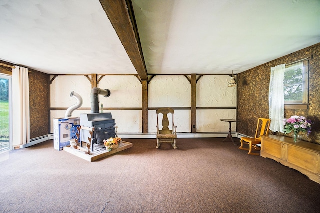 20 W Clove Mountain Rd, Lagrangeville, NY 12540 - photo 23