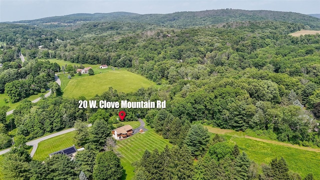20 W Clove Mountain Rd, Lagrangeville, NY 12540 - photo 40