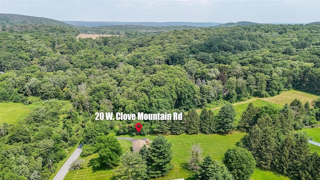 20 W Clove Mountain Rd, Lagrangeville, NY 12540 - photo 41