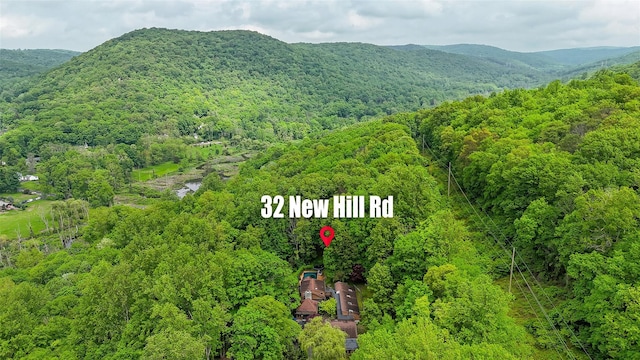 32 New Hill Rd, Putnam Valley, NY 10579 - photo 37