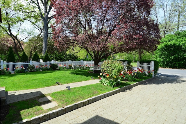 view of property's community featuring fence and a yard