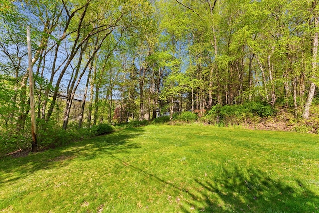view of grassy yard