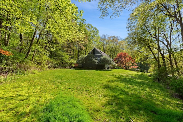 view of green lawn with a view of trees