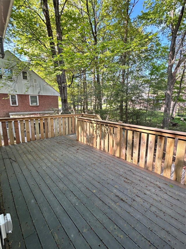 45 Clinton Ave, Monticello, NY 12701 - photo 22