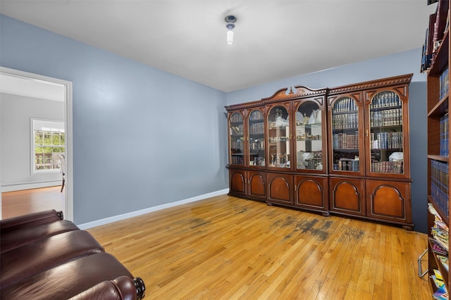 10-12 Damian Ct, Chester, NY 10918 - empty room with light wood-type flooring, baseboard heating, and baseboards