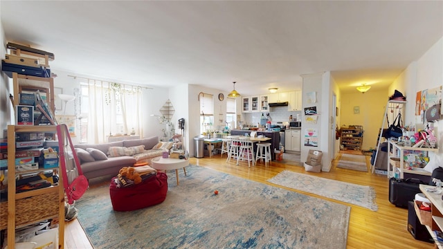 living room featuring light wood finished floors and plenty of natural light